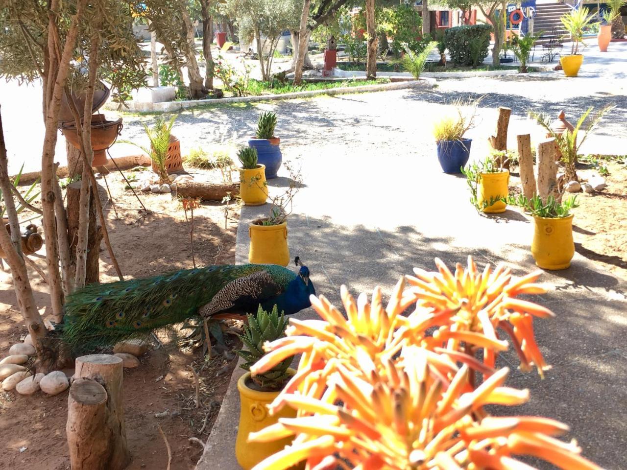 Camping & Hotel Le Calme As-Suwajra Zewnętrze zdjęcie